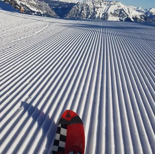 Guest house Amadehaus 4*